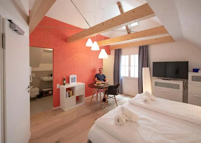 بيت ضيافة Gaestehaus Am Schlossplatz, Z. 5 ميرسبرغ